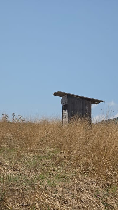 A weathered wooden outhouse stands in a dry, golden field under a clear blue sky. The outhouse is dark brown with a corrugated metal roof that extends outwards. The field is filled with tall, dry grass and some scattered green vegetation. In the distance, the faint outline of a hill can be seen. The scene appears to be in a rural area, possibly on the outskirts of the village of Ravadinovo, Bulgaria, given the description provided. There are no people or animals visible in the image.