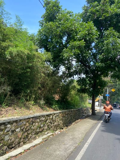 A man in an orange shirt and black pants rides a motorcycle along a paved road with a white line in Kecamatan Cisarua, Indonesia. The road is lined by a stone wall and a sidewalk on one side. To the left of the road is a thick patch of green vegetation and a tree with dense foliage. The sky is bright blue with scattered clouds.