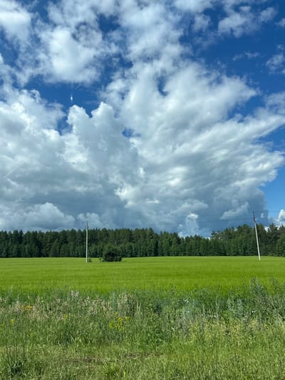 The image depicts a landscape scene in Makarovo, Russia, under a partly cloudy sky. In the foreground, a dense patch of tall green grass and wildflowers, some yellow, grows along a roadside or field edge. Beyond this, a vast, vibrant green field stretches towards a dark green line of dense forest. A white utility pole with electrical lines is visible in the field, as is another in the distance to the right. The sky above is a mix of bright blue patches and large, dramatic white and gray clouds, with a hint of sun glare visible near the top center. The overall impression is of a rural or semi-rural environment on a day with dynamic weather.