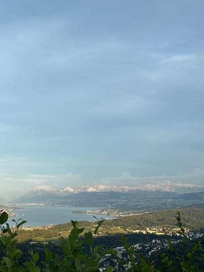The image is a wide-angle, elevated view of a European city and lake, likely taken from a hillside location in Stallikon, Switzerland, given the presence of the Alps in the distance. In the foreground, lush green foliage partially obscures the view. The middle ground reveals a sprawling urban landscape with numerous buildings of varying sizes and colors, nestled among rolling, tree-covered hills. A large body of water, a lake, is visible in the mid-left of the frame, with several boats on its surface. Beyond the city and lake, a majestic mountain range with snow-capped peaks stretches across the horizon, bathed in the soft light of what appears to be either dawn or dusk. The sky is a pale blue, with some wispy clouds present. The overall impression is one of a serene and picturesque natural and urban environment. There are no people or discernible actions depicted in the image.