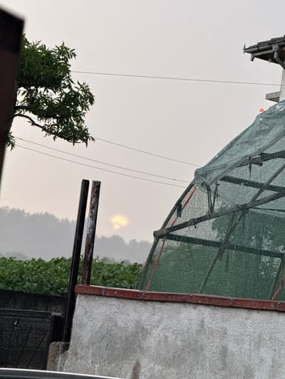 The image shows an outdoor scene in Zhaltusha, Bulgaria. The foreground includes a small tree growing on a roof, two parallel metal bars extending towards the center, and a concrete wall with a metal frame covered in green netting. In the background, there is a hillside covered in vegetation. Above the hillside, the sky is overcast with a bright spot, likely the sun, obscured by clouds. Power lines run across the sky.