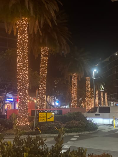 The image depicts a nighttime scene in Brisbane, Australia, likely in a commercial or entertainment district, given the building facades and illuminated palm trees. Several palm trees are wrapped in strings of warm-toned lights, creating a festive atmosphere. In the foreground, a white van is parked on the right side of the frame. A yellow sign with black text and graphics indicating "QUEUED TRAFFIC AHEAD" with three car icons is visible on a pole in the mid-ground. The background features buildings with illuminated windows, suggesting a populated area. The overall impression is one of a vibrant urban environment at night, enhanced by decorative lighting.