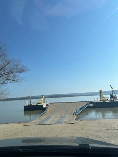 The image displays a river ferry landing situated in Călărași, Romania, likely on the Borcea branch of the Danube River. The photograph is taken from inside a vehicle, evidenced by the dark, reflective surface of a dashboard or hood in the lower foreground.
A concrete or paved ramp extends from the shore down to the water, where it connects to a metal gangway. This gangway, equipped with blue guardrails, leads onto a flat-deck river ferry. The ferry comprises two pontoons, each featuring yellow-painted structures, possibly machinery housings or operational cabins, and metal railings. The ferry is currently docked at the landing, with its ramp lowered and integrated with the shore infrastructure, indicating readiness for vehicle embarkation or disembarkation. No people are visible on the ferry or at the landing.
The body of water is wide and calm, exhibiting a greenish-brown hue. On the distant horizon across the river, a landmass is visible, covered by a dense line of leafless deciduous trees, suggesting a winter or early spring season. The sky above is clear and bright blue, with minimal cloud cover. Bare tree branches extend into the frame from the upper left, originating from the near riverbank.