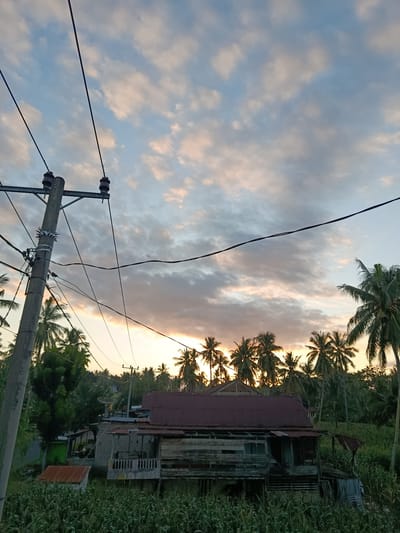 The image captures a rural scene in Lebbae, Indonesia, during what appears to be sunset. In the foreground, a tall concrete utility pole stands to the left, adorned with insulators and a network of electrical wires crisscrossing the frame. Behind the pole, a dilapidated wooden house with a rusted metal roof is partially visible, surrounded by lush green vegetation, including what looks like corn stalks in the immediate foreground and numerous palm trees in the midground and background. The sky is filled with a mix of light and dark clouds, with the sun setting, casting a warm orange and pink glow across the horizon. The overall impression is one of a tranquil, rustic environment at dusk. There are no people visible in the image.