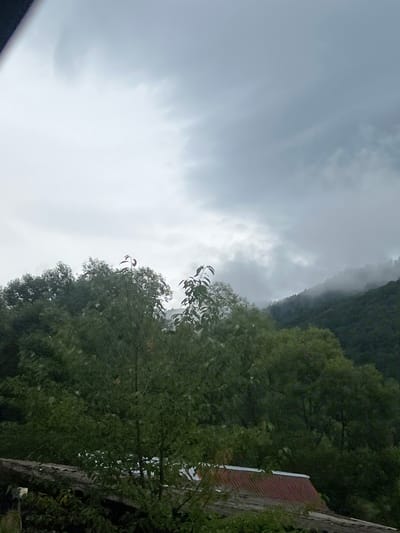 The image captures a cloudy sky over a densely forested hillside. In the foreground, the roof of a building with a red, corrugated metal roof is partially visible, along with some branches and foliage. The trees are lush and green, creating a thick canopy that obscures much of the landscape. In the distance, the hills are shrouded in mist, adding to the atmospheric and somewhat dramatic feel of the scene. The overall impression is one of natural beauty, with the subdued lighting and overcast sky creating a sense of quietude. The location is identified as Ust-Chorna, Ukraine.