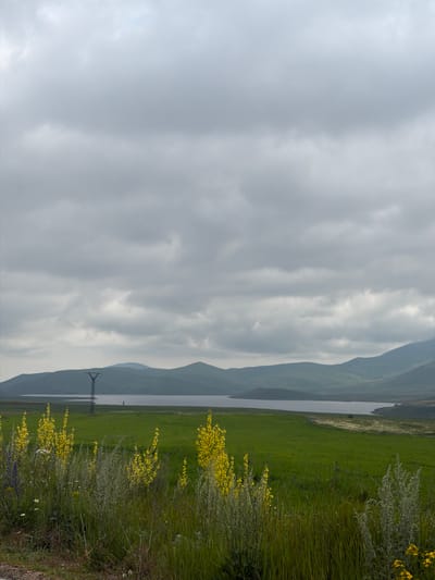 The image depicts a pastoral landscape under a cloudy sky, likely located in or near Tsghuk, Armenia. In the foreground, tall green grass and various wildflowers, including clusters of bright yellow blossoms and some purple and white flowers, create a textured border. Beyond this, a vast expanse of vibrant green grassland stretches towards a body of water, which appears to be a lake or reservoir. In the middle ground, a solitary, tall metal pylon, characteristic of power transmission infrastructure, stands prominently against the horizon. The background is dominated by rolling, soft-green hills that recede into the distance, their contours blurred by the atmospheric conditions. The overall scene conveys a sense of open space and natural tranquility, with a hint of human industrial presence. There are no people or animals visible in the image.