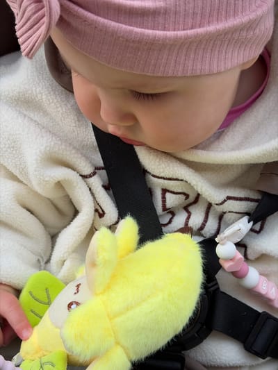 A baby wearing a pink hat is lying on a white blanket, restrained by black straps with a pacifier clip attached. A yellow stuffed toy with a green leaf accent is nearby. The location is not discernible from the image.