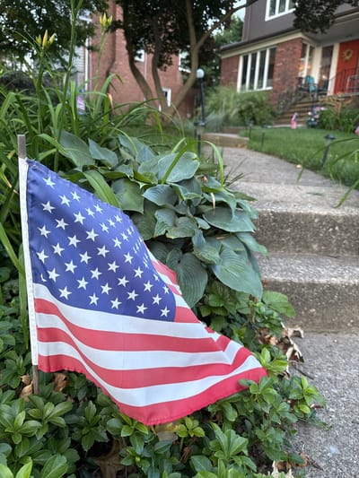 An American flag is planted in green foliage next to a concrete walkway and stairs leading up to a house. The flag is partially unfurled and shows the stars and stripes. In the background, the house has a brick and dark brown exterior, with several windows visible. The walkway and stairs are concrete. The surrounding vegetation is lush and green. The scene appears to be in a residential area. The image is taken from a low angle, focusing on the flag and foreground foliage.