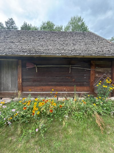 The image depicts the exterior of a rustic wooden building with a shingled roof. The building appears aged, with dark, weathered wooden planks forming its walls and a section of lighter wooden planks at the bottom. A simple wooden tool, possibly a broom or rake, hangs on the wall. To the right of the building, a lush patch of wildflowers and green grass grows, with various yellow and orange flowers blooming among the foliage. The sky above is overcast and cloudy, suggesting a temperate or humid day. The scene conveys a sense of rural simplicity and natural beauty. The location context is Sielachowskie, Poland, which aligns with the rustic architectural style and natural landscape. No people are visible in the image, nor is any text. The image appears to be taken during daylight hours.