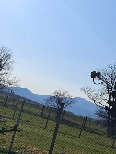 The image captures a rural landscape in Vedrare, Bulgaria, under a clear, light blue sky. In the distant background, a range of hazy blue mountains forms the horizon. The midground consists of a verdant green field sloping upwards from left to right, featuring patches of dry brown vegetation. A chain-link fence, supported by irregularly spaced wooden posts, runs diagonally across the mid-to-foreground. Several bare deciduous trees are present; one prominent tree stands within the field in the center midground, while leafless branches from other trees frame the left and right edges of the composition. On the far right, a utility pole or similar structure with attached dark-colored equipment is partially visible against the sky. No individuals or active interactions are depicted.