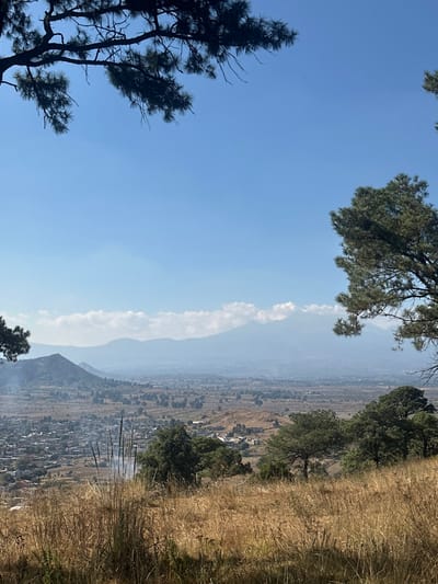 The image shows a valley with a long, thin cloud formation in the distance. Trees frame the sky in the upper left and upper right corners of the image. The ground in the right of the picture is covered in tall grass and the valley below has what appears to be a town within it. The sky is blue with some haze visible in the distance.