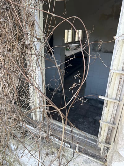 The image depicts a close-up view through an open, dilapidated window of an abandoned building in Stoianovo, Bulgaria. The foreground is dominated by a dense, dry tangle of bare, brown leafless vines and branches. Some thicker vines curve to form an arch-like opening in the center. Behind the vines, a white-painted wooden window frame with peeling paint and visible deterioration is present, missing its glass panes. The right side of the frame shows remnants of a shutter or additional wooden slats, secured with exposed nails. Through the open window, the interior of a derelict structure is visible. The immediate interior room features light-colored, possibly faded blue or white, tiles on the lower portion of the walls. The floor inside is dark and appears to be concrete or rough ground. In the deeper background, another room is partially visible, illuminated by natural light entering through a window opening on its far wall. No individuals, specific actions, or interactions are present. The scene indicates significant neglect and decay.