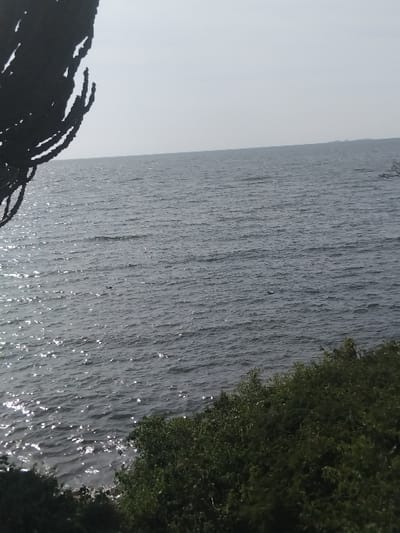 The image displays a wide view of a large body of water, likely Lake Victoria, in West Uyoma ward, Kenya, under a bright, hazy sky. In the upper left foreground, a dark, out-of-focus, braided or twisted fibrous object extends partially into the frame. The lower right foreground features dense green foliage, appearing as shrubbery or small trees, bordering the water's edge. The expansive water surface exhibits ripples and strong sun glare, particularly towards the lower left and central areas. A small, dark, oblong object floats on the water in the mid-ground, slightly left of center. The horizon is faint, separating the water from a uniformly light grey-white sky, with indistinct dark shapes visible on the far horizon, suggesting distant landmasses. No human subjects, actions, or interactions are present.