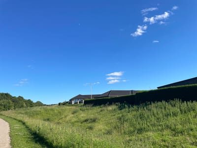 The image depicts a scenic view in Horsens, Denmark, on a clear day under a bright blue sky with a crescent moon visible. In the foreground, a gravel path curves to the left, bordered by tall, lush green grass and wildflowers. The middle ground features a gently sloping grassy hill leading up to a row of modern houses with dark tiled roofs, partially obscured by a meticulously maintained, dense green hedge. One house, with large windows, is clearly visible, as is a flagpole. The background consists of more green trees and the expansive sky. The scene conveys a peaceful, suburban residential area with ample green spaces.