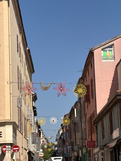 This is a wide-angle, vertically oriented outdoor photograph taken on a clear, sunny day, likely in the late morning or early afternoon, given the bright light and distinct shadows. The image captures a street scene in a town, with buildings lining both sides of what appears to be a narrow street. The perspective is unusual, as the top of the buildings are at the bottom of the frame and vice-versa, giving the impression that the scene is upside down.

Hanging decorations, resembling stylized flowers and butterflies made of wire or thin metal, are suspended across the street. These decorations are colorful, with some in yellow and others in red. The buildings themselves are varied in color and architectural style. On the left, a pale pink building features a window with stained-glass panes that reflect rainbow colors. On the right, several businesses are visible, indicated by signs. Some of these signs are in French, with text such as "RESTAURANT SANDWICHERIE LA ROUTE 66" and "CORDONNERIE". There's also a sign for "LE GRATINE". A red and white circular sign, possibly a traffic or parking sign, is visible at the bottom right. The presence of these signs and the French text suggests the location is in France, and indeed the context provided confirms it is Charnay-lès-Mâcon.

The activity appears to be a still, everyday scene in a town, possibly a tourist or shopping area, given the decorative elements and multiple businesses. There are no people visible in the frame. The overall impression is one of a bright, cheerful day in a European town.