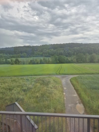 The image shows a landscape in Boxberg, Germany. Overcast skies fill the left side of the frame. A dense forest lines the left side, transitioning into a vibrant green field with tire tracks. A dirt path runs alongside the field, leading toward another grassy area. A structure with metal railings appears on the right side of the image.
