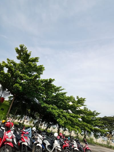 The image shows a parking area in Sukomoro, Indonesia, filled with motorcycles. A row of trees provides shade over the parked vehicles. The sky is visible in the background. A person is sitting on one of the motorcycles, wearing a headscarf. The motorcycles are of various colors and models. A low white fence is visible behind the trees. A building is partially visible on the left side of the image.