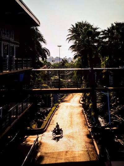 A person rides a motorcycle down a wet, sunlit road in Vientiane Capital, Laos. The road is flanked by lush tropical vegetation, including palm trees, and what appears to be a multi-story building with balconies and walkways on the left side of the frame. A pedestrian overpass crosses the road in the mid-ground. The scene is illuminated by the low sun, casting long shadows and highlighting the wet surface of the road. The overall impression is one of a tropical environment at either sunrise or sunset.