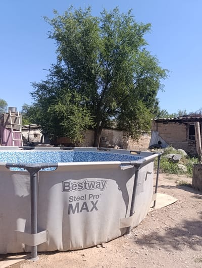 In Қақпатас, Kazakhstan, a large, above-ground swimming pool with a blue and white tiled interior and "Bestway Steel Pro MAX" branding is the central focus. The pool is situated outdoors on a dusty, gravelly ground. To the left of the pool, a wooden ladder leans against a partially constructed or derelict building with a corrugated metal roof and fabric covering. Behind the pool and ladder, a large, leafy tree stands tall against a clear blue sky. Further back, several rustic, earthen buildings with tiled roofs are visible, suggesting a rural or semi-developed area. The overall environment appears dry and sun-drenched, with shadows cast by the tree and structures. There are no people visible in the image.