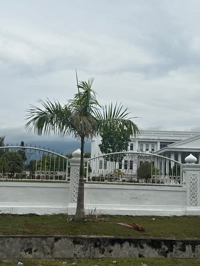 The image shows a palm tree in the foreground, with a white fence and a large white building in the background. The sky is cloudy. The building appears to be a government building or a large institution, possibly in Lampeuneurutblang, Indonesia. The scene is calm and tranquil, with no people visible. The palm tree is healthy and lush, with its fronds reaching towards the sky. The fence is ornate, made of white metal with decorative elements. The building is grand and imposing, with a classical architectural style. The overall impression is one of order and stability.