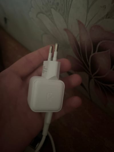 A close-up shot shows a person's hand holding a white USB charging adapter. The adapter has two prongs for electrical outlets and a USB port. The background features a floral-patterned wallpaper and a wooden surface. The image does not provide any information about the location in Usogorsk, Russia.