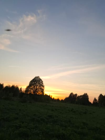 The image depicts a sunset over a field in Шешурга, Russia. The sky transitions from a light blue to a vibrant orange at the horizon. A silhouetted tree stands prominently in the middle ground, with a dark green field stretching along the left side of the image. The horizon glows brightly, silhouetting the trees lining the field. The clouds are streaked with pink and orange hues, adding to the sunset's beauty. A small dark object is visible in the upper right quadrant of the sky.
