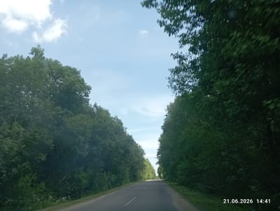 The image depicts a straight asphalt road with a white line down the center, bordered by dense, green trees on both sides. The sky above is a light blue with scattered white clouds. The trees form a canopy over the road in places. The scene appears to be a rural or wooded area. The timestamp in the bottom right corner indicates the date and time as June 21, 2026, 14:41. The location is specified as Хаценчыцкі сельскі Савет, Belarus. There are no people or animals visible in the image, and no specific actions or interactions are depicted. The environment is natural and undeveloped, with the focus being on the road and the surrounding vegetation.