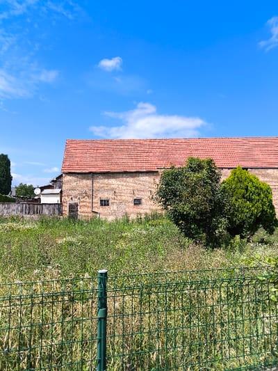 This image depicts an outdoor scene in Oberschaeffolsheim, France, under a clear blue sky with sparse white clouds. In the foreground, a dark green metal mesh fence with a prominent vertical post dominates the lower third of the frame. Beyond the fence, an overgrown, unkempt field or vacant lot is visible, characterized by a dense mix of green and dry vegetation, including tall grasses and various weeds.
Dominating the midground is a large, two-story building constructed of light brown brick, possibly a barn or agricultural structure. Its roof is composed of numerous red clay tiles. The building's facade features at least two small, rectangular dark-paned windows and a dark, vertical wooden door on its left side. To the right of the building, two distinct trees are present: one with dense, dark green foliage and another, smaller, with lighter green, coniferous-like leaves.
To the far left background, a tall, slender dark green tree is partially visible. Behind the main brick building, a smaller, white, single-story structure with a satellite dish on its roof is discernible, accompanied by a wooden fence line. No individuals, discernible actions, or interactions are present in the scene. The overall environment suggests a rural or semi-rural setting.