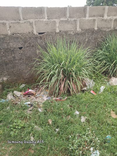 The image shows an outdoor scene with a cinder block wall in the background and a patch of green grass and plants in the foreground. There is a significant amount of litter strewn across the grass and around the base of the wall, including plastic bags and wrappers. Two clumps of tall, green grass with reddish-brown bases are prominent in the mid-ground. The overall impression is one of neglect and an unkempt environment. The bottom left corner of the image contains a watermark that reads "Samsung Galaxy A03."