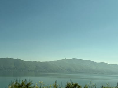 The image captures a serene landscape view with a clear blue sky dominating the upper portion. Below the sky, a range of imposing, gently sloping green mountains stretches across the horizon, their forms softened by a slight atmospheric haze. The lower section of the image features a calm body of water, possibly a lake, reflecting the subdued light. In the foreground, the shore is lined with sparse, dry vegetation and small yellow wildflowers, suggesting a natural, undeveloped setting. The scene is devoid of human presence or activity, presenting a peaceful, natural vista. The location is identified as Tsamakaberd, Armenia, a region known for its mountainous terrain and natural beauty.