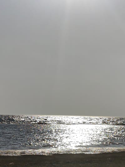 This is a vertical, medium-shot photograph of a vast body of water under a bright, overcast sky. The horizon line is clearly defined, separating the muted gray sky from the shimmering water. The sun is not directly visible but its light creates a brilliant, dazzling reflection across the surface of the water, appearing as a broad band of intense white light broken by waves.
The water closest to the viewer is darker, with less intense reflections, suggesting it is shallower or closer to the shore. The water further out exhibits more pronounced, scattered sparkles of light, with hints of color—red, green, blue, and yellow—interspersed with the white highlights, likely due to the refraction of light through ripples. This effect gives the water a jewel-like quality.
The foreground consists of a dark, slightly textured strip of land, possibly a beach or the edge of a body of land, with some small, indistinct elements that could be dried grass or pebbles. The overall impression is one of a serene, natural landscape, likely captured during daylight hours. The overcast sky suggests the weather is diffused, but the strong reflections indicate significant sunlight. The location, Saiyn Şapağatov, Kazakhstan, indicates a potentially arid or steppe-like environment, making the presence of this large, reflective body of water a significant feature. There is no visible text in the image.