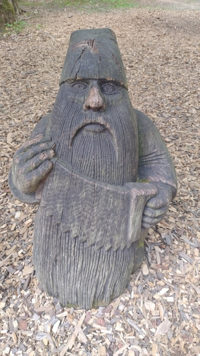A weathered, dark wooden carving of a gnome or dwarf sits in a park setting. The carving depicts a figure with a conical hat, a prominent nose, and a long, grooved beard. The gnome is holding a curved object, possibly a scroll or book, in its hands. The carving is made of rough, dark wood with visible grain and cracks, suggesting it has been exposed to the elements. It is positioned outdoors on a ground covered with wood chips. The background shows more wood chips and some greenery and trees, indicating a forest or park environment. The location is identified as Tērvete, Latvia, suggesting this carving is part of the Tērvete Nature Park or a similar attraction in the area.