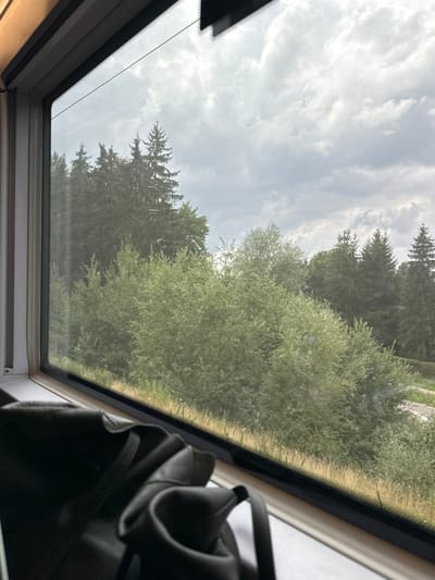 An interior shot from a train looking out a window reveals a dense natural landscape under an overcast sky in the vicinity of Jahnhöhe, Germany. The window frame occupies the left and bottom edges, with a dark, soft object, possibly a bag, resting on the interior window ledge in the lower left. Outside, a strip of dry, yellowish-green grass with small white flowers borders the immediate foreground. Beyond this, a thick stand of light green deciduous trees and bushes forms the midground. In the background, numerous dark green coniferous trees with pointed crowns dominate the tree line. The upper portion of the scene is filled with a grey and white cloud-laden sky, featuring a faint linear contrail. A narrow, light-colored paved road or path is partially visible through the foliage on the right side of the frame. No individuals are present in the scene.