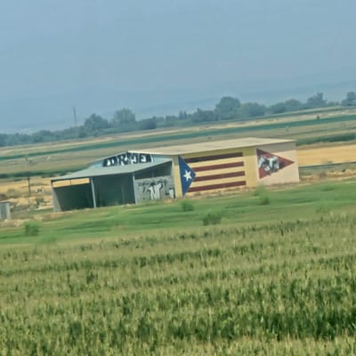The image shows a long, rectangular building with a light-colored roof. The building is situated in a rural landscape, with fields of green and golden crops in the foreground and background. The building has two distinct sections: a darker, open-fronted structure on the left, and a more enclosed section on the right.

On the left section of the building, there is graffiti on the wall. The graffiti is in white and appears to be a stylized design with letters and figures.

The right section of the building features a mural. The mural consists of horizontal stripes in red and yellow, and a blue triangular section on the left side of the mural. Within the blue triangle, there is a white star. To the right of the stripes, there is another triangular section with a mural depicting what appears to be figures in a dynamic pose, possibly in motion or engaged in an activity. The overall colors of the building and its murals are somewhat muted, suggesting either a distance or a soft lighting condition.

The environment surrounding the building is agricultural, with rows of crops visible. In the distance, there are trees and hills under a hazy sky. A utility pole is visible to the left of the building, and a small, grey structure, possibly a shed or outbuilding, is located in front of the left section. The overall impression is of a functional building located in a farming area.