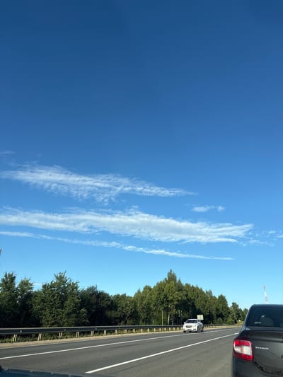 The image depicts a clear, sunny day with a vast expanse of bright blue sky. A few wispy white clouds are scattered across the upper portion of the sky. Below the sky, a dense line of green trees forms a forest along the side of a highway. The highway has multiple lanes, with a guardrail separating the lanes from the tree line. Several cars are visible on the highway, including a white sedan in the distance and the back of a dark-colored Renault vehicle in the foreground. The scene appears to be a typical roadside view from a moving vehicle, suggesting the image was taken while traveling on a road. The overall impression is one of a pleasant, bright day in a rural or semi-rural setting.