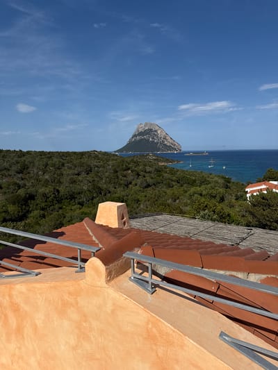 The image shows a rooftop view overlooking the sea with a distinctive rocky island in the distance. In the foreground, there are two levels of terracotta tiled roofs. The lower roof is made of reddish-brown tiles and has a metal railing system. Above this, there is a lighter-colored stucco surface and another section of roof covered with what appears to be woven reeds or straw. A small, pale orange chimney-like structure with an opening is visible on the lower roof.
The middle ground is dominated by a dense green forest covering rolling hills. The sea stretches out beyond the forest, a vibrant turquoise near the shore and deepening to a dark blue further out. Several sailboats are visible on the water.
In the far distance, the prominent rocky island, likely Tavolara, rises from the sea. A white building with red trim is partially visible nestled within the trees on the right side of the image. The sky is a clear, bright blue with a few wispy white clouds. The scene suggests a coastal location, possibly in the Loiri-Poltu Santu Paolu/Loiri Porto San Paolo area of Italy, known for its scenic beauty and proximity to islands. There are no people visible in the image.