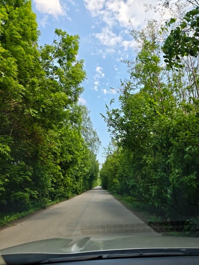 View from a vehicle on a gray asphalt road lined with dense green trees on both sides. The sky is light blue with scattered white clouds. The road leads into the distance, creating a perspective view. Part of the vehicle's windshield is visible at the bottom of the frame. The scene is located in Zhornyshche, Ukraine.