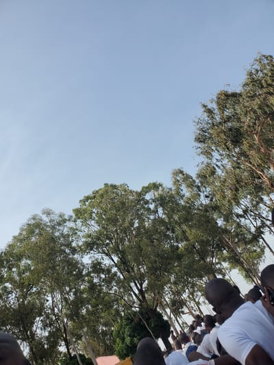 The image captures an outdoor scene with a clear blue sky and lush green trees. In the foreground and mid-ground, a gathering of people, mostly young males, are visible. Many are wearing white t-shirts, suggesting a group activity or event. Their heads are bowed, and they appear to be seated or standing in a crowd. The trees are tall and full of foliage, with some branches reaching towards the sky. The overall impression is that of a public gathering under a bright sky, possibly in a park or an open area within the city of Barakin Rafin Gora, Nigeria.