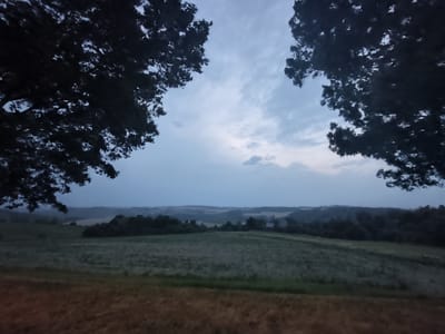 The image depicts a landscape scene from a slightly elevated position, likely in or near the city of Berg, Germany, as indicated by the provided context. The time of day appears to be dusk or early dawn, given the muted lighting and overcast sky.
In the foreground, a patch of dry grass or crop stubble with a reddish-brown hue occupies the bottom edge of the frame. Behind this, a field of green grass or a low crop stretches out, with faint horizontal lines suggesting cultivation or texture.
Further into the middle ground, rolling hills are visible, covered in a mix of dark green trees and lighter green fields. Some scattered buildings or structures can be discerned within the treeline on the distant hills, suggesting a rural or semi-rural environment. The overall landscape is characterized by gentle undulations.
Framing the upper portion of the image are the dark silhouettes of tree branches and foliage, one set on the left and another on the right, creating a natural aperture through which the landscape and sky are viewed. These branches are dense and dark, almost obscuring the sky in places.
The sky itself is a soft, cloudy grey with subtle variations in tone, indicating diffused light rather than direct sunlight. There are no people, animals, or distinct objects of interest that would suggest specific activities or interactions. The scene is tranquil and natural, focusing on the expanse of the landscape under a twilight sky.