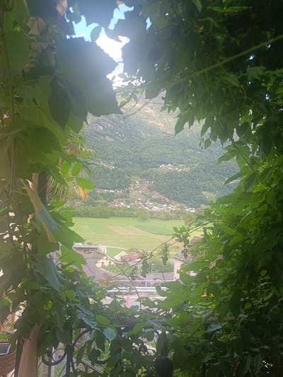 The image captures a view through lush green foliage, framing a picturesque valley with a small village nestled on a hillside. The village, characterized by its white buildings with red roofs, is scattered across the verdant slopes. Below the village, neatly cultivated fields of varying green hues dominate the valley floor, suggesting agricultural activity. In the foreground, the dense leaves of what appears to be a vine or climbing plant create a natural frame, obscuring parts of the scene and adding depth. Beyond the fields and the village, a rugged mountain range rises, its peaks partially visible against a bright, hazy sky. The overall impression is one of a serene, rural landscape, likely captured from a vantage point overlooking the valley. The specific location is identified as Serravalle, Switzerland.