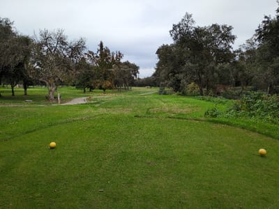 A golf course under a cloudy sky. Two yellow golf balls sit on the green tee box. The fairway stretches out, dotted with sparse patches of grass. Trees line both sides of the fairway, with a few appearing bare. A paved cart path curves through the course. In the distance, there's a glimpse of a golf cart and players on the green. The edges of the course are thick with bushes and undergrowth.