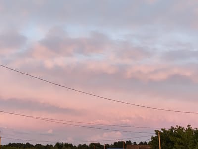 The image depicts a serene twilight sky with soft, pastel clouds in shades of pink, purple, and light blue. Several thin, dark power lines stretch horizontally across the frame, dividing the sky. In the lower portion of the image, the dark silhouettes of trees form a dense treeline. Below the treeline, the roofs of a few buildings and two utility poles are visible, suggesting a rural or suburban setting. One of the buildings has a reddish-brown roof. The overall impression is one of quiet evening in a location that appears to be a village or small town, possibly Новоурсаево, Russia.