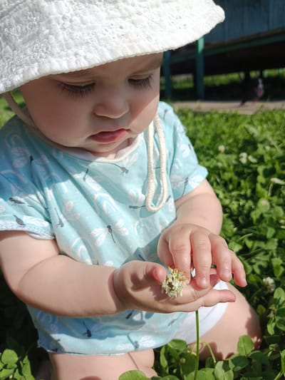 A close-up, eye-level shot shows a baby wearing a white bucket hat and a light blue t-shirt with a dragonfly print. The baby is sitting in lush green grass, holding a small white clover flower in their right hand, examining it with intense focus. The baby's face is partially obscured by the hat, but their downcast gaze and plump cheeks are visible. The background is blurred, revealing hints of a wooden structure and a pigeon in the distance, suggesting an outdoor setting likely in a park or backyard in the city of Posad, Russia. The lighting indicates a sunny day.