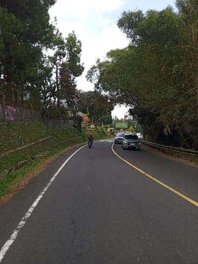 The image depicts a two-lane asphalt road in Ciloto, Indonesia, viewed from a low angle. The road curves slightly to the right in the foreground and continues into the mid-ground. A solid white line marks the left edge of the road, and a solid yellow line separates the lanes further to the right.
In the left lane, a single individual on a motorcycle, wearing a red helmet and dark clothing, travels away from the viewer. In the opposing lane, two dark-colored passenger vehicles are visible, traveling towards the viewer. The lead vehicle appears to be a dark SUV, possibly a Mitsubishi Xpander, with its headlights illuminated.
The left side of the road features a tiered retaining wall, heavily covered in green vegetation. Above this wall, a concrete or dirt barrier is visible, marked with graffiti. A dense cluster of tall pine trees stands prominently behind the barrier.
The right side of the road is lined with a metal guardrail. Beyond the guardrail, a thick growth of bamboo trees forms a dense canopy overhead. In the distance, a prominent green sign with yellow text reading "ALAM INDAH" is visible, along with other smaller signs, suggesting an entry point or local attraction.
The sky is partially cloudy, indicating daylight conditions.