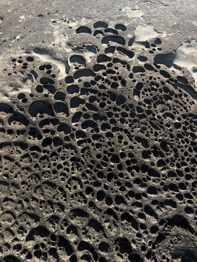 The image is a close-up, high-angle shot of a porous rock formation. The rock is dark gray and appears weathered, with numerous holes of various sizes and shapes creating a honeycomb-like pattern. Some areas of the rock are smoother and lighter in color, suggesting different mineral compositions or erosion patterns. The lighting creates strong shadows within the holes, emphasizing the texture and depth of the formation. The scene is devoid of any people, animals, or man-made objects. The image is a detail of a natural geological feature.