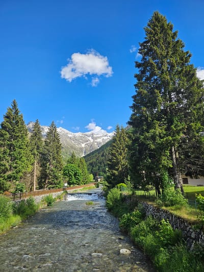 The image, correctly oriented horizontally, presents a serene mountainous landscape under a bright, clear blue sky. A vibrant, fast-flowing river occupies the left side of the frame, its shallow, rocky bed visible through the shimmering water. Along the right bank of the river, lush green grass and dense vegetation thrive, bordered by a neatly constructed dry-stone wall. A narrow wooden pedestrian bridge extends across the river, disappearing into a dense forest of tall coniferous trees that line the riverbank and extend up the slopes.

In the midground, majestic snow-capped mountains rise prominently, their rugged peaks contrasting sharply with the deep blue sky. A few scattered white cumulus clouds float lazily above the mountains and in the upper right sky. Numerous evergreen trees, characteristic of mountainous regions, are spread throughout the scene, some towering in the foreground and others forming a thick forest on the mountain slopes. To the far right, partially obscured by trees, is a glimpse of a building, possibly a traditional house or cabin, with a dark roof and light-colored walls, fronted by a green wire fence.

The scene is bathed in strong daylight, indicating a sunny day, likely in late spring or early summer given the combination of green foliage and residual snow on the peaks. There are no people visible, and no specific activities are taking place, contributing to the tranquil and untouched natural atmosphere of this mountainous setting, consistent with the Ponte di Legno area in Italy. A small white sign is visible near the wooden bridge, but its text is illegible.