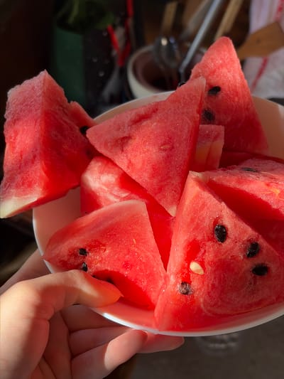 A top-down shot shows a white bowl filled with watermelon slices being held in a person's hand. The watermelon slices are bright red and have scattered black seeds. A few slices also have light-colored seeds. The rind of the watermelon is visible on the bottom of some slices. The background is blurry, but some objects are visible, including a cup and some utensils. The photograph does not appear to be taken in Brusen, Bulgaria. There is no indication of time in the image.