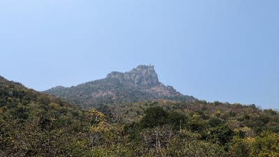 An exterior long shot depicts a prominent, rugged mountain peak situated against a clear, light blue sky. A distinct white, multi-tiered architectural structure, likely a temple complex, is visible atop the mountain's summit. The slopes of the mountain and the immediate foreground are densely covered with varied vegetation, displaying shades of green, brown, and yellow foliage, indicative of a natural, forested landscape. No individuals are present within the frame, and no specific actions or interactions are occurring. The scene is located in the city of Kadaladi, India.