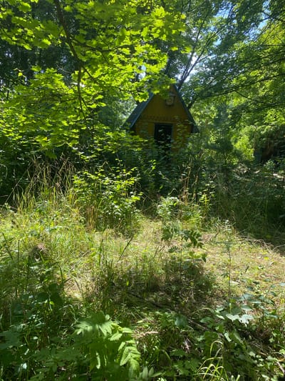 A small, yellow, triangular-shaped building with a dark-colored door and a decorative element above the door is visible through dense foliage. The building is nestled within a lush, green forest environment, with tall grass and various plants growing around it. Sunlight filters through the leaves of trees, casting dappled shadows on the ground and the building. The scene appears to be located in a natural, overgrown area. There are no people or animals visible in the image.