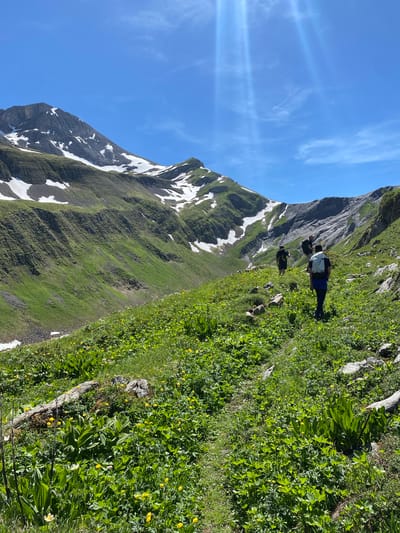In a mountain landscape in Brienz, Switzerland, three individuals are hiking on a narrow trail amidst lush green vegetation and scattered yellow wildflowers. The foreground is dominated by vibrant green foliage and small yellow flowers, with a fallen log and some rocks present. The trail winds upwards into a mountainous region with steep, grassy slopes dotted with patches of snow. In the background, a large, majestic mountain peak with snow-capped ridges rises under a clear blue sky with wispy clouds. The sun is shining brightly, casting visible rays. The hikers, dressed in casual outdoor attire and carrying backpacks, are walking away from the camera, progressing along the path. The scene depicts a day of outdoor recreation in a scenic alpine environment.